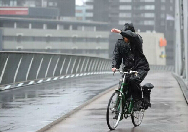 趣味科普：荷兰人下雨天不打伞