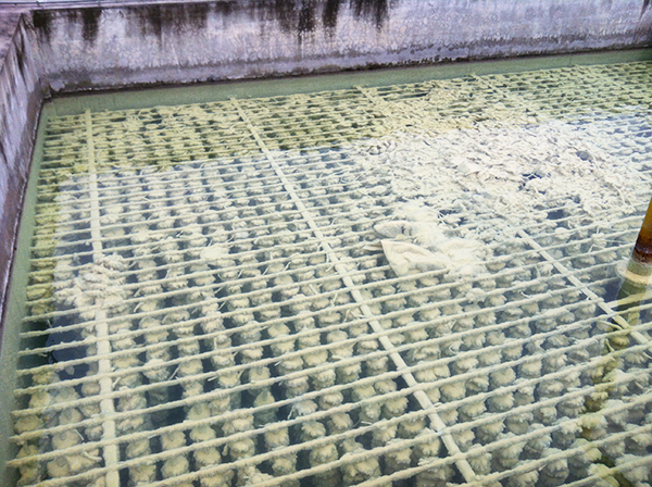 走访浙江某纺织印染公司高氨氮废水处理项目