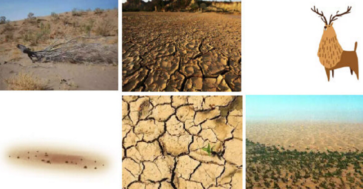 科普一下世界防治荒漠化和干旱日